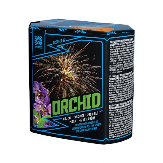 Orchid Orchid