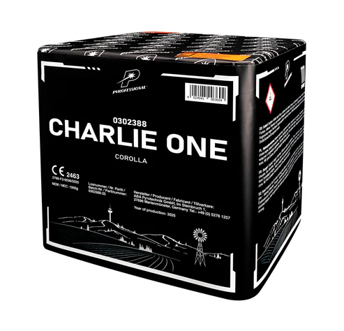 Charlie One Charlie One